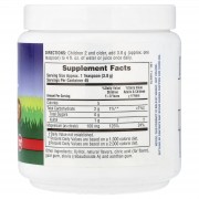 NaturesPlus, Mag Kidz®, Animal Parade®, дитяча порошкова добавка з магнієм, вишня, 171 г (0,38 фунта)